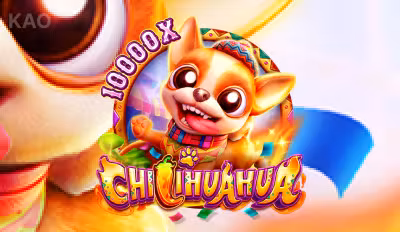 CHILIHUAHUA