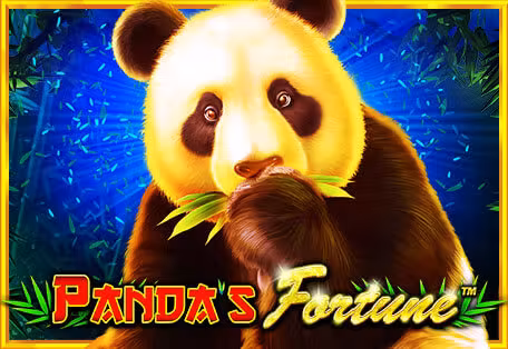 Vận may của Gấu trúc